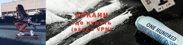 бошки Бородино
