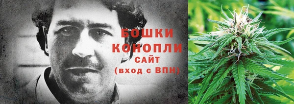 бошки Бородино