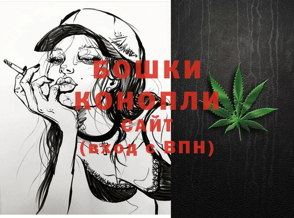 бошки Бородино