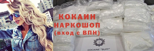 бошки Бородино