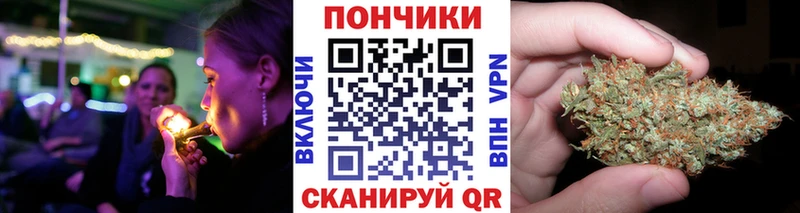 Бошки марихуана White Widow  где найти наркотики  Пестово 